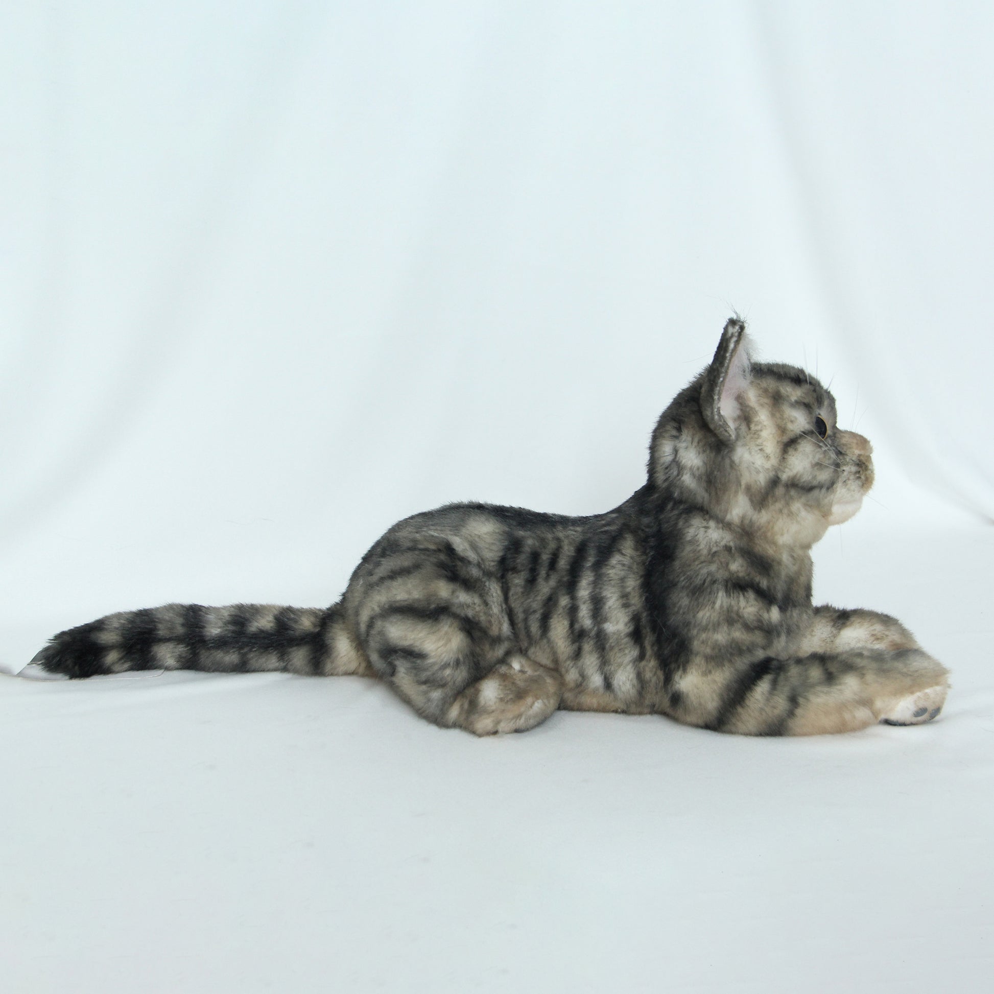 NO.25 Brown and black striped cat - Chongker