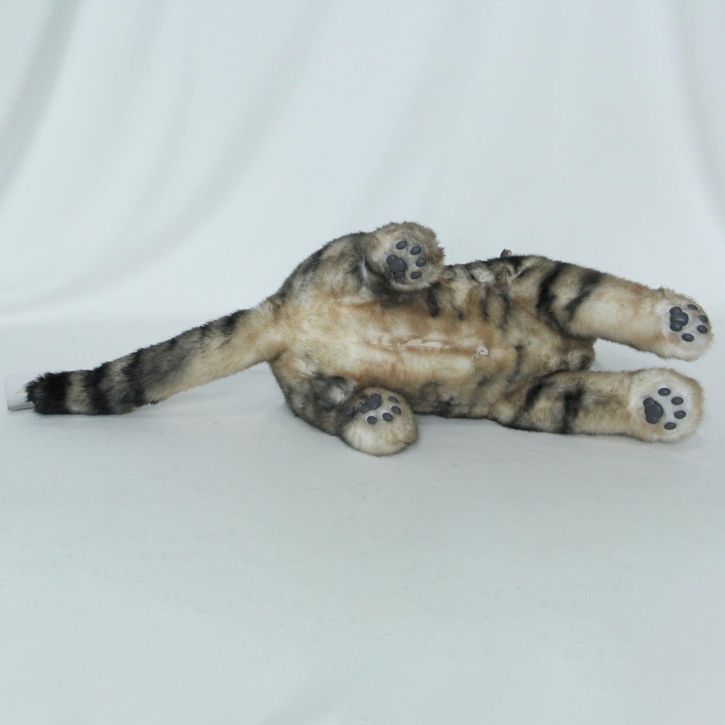 NO.25 Brown and black striped cat