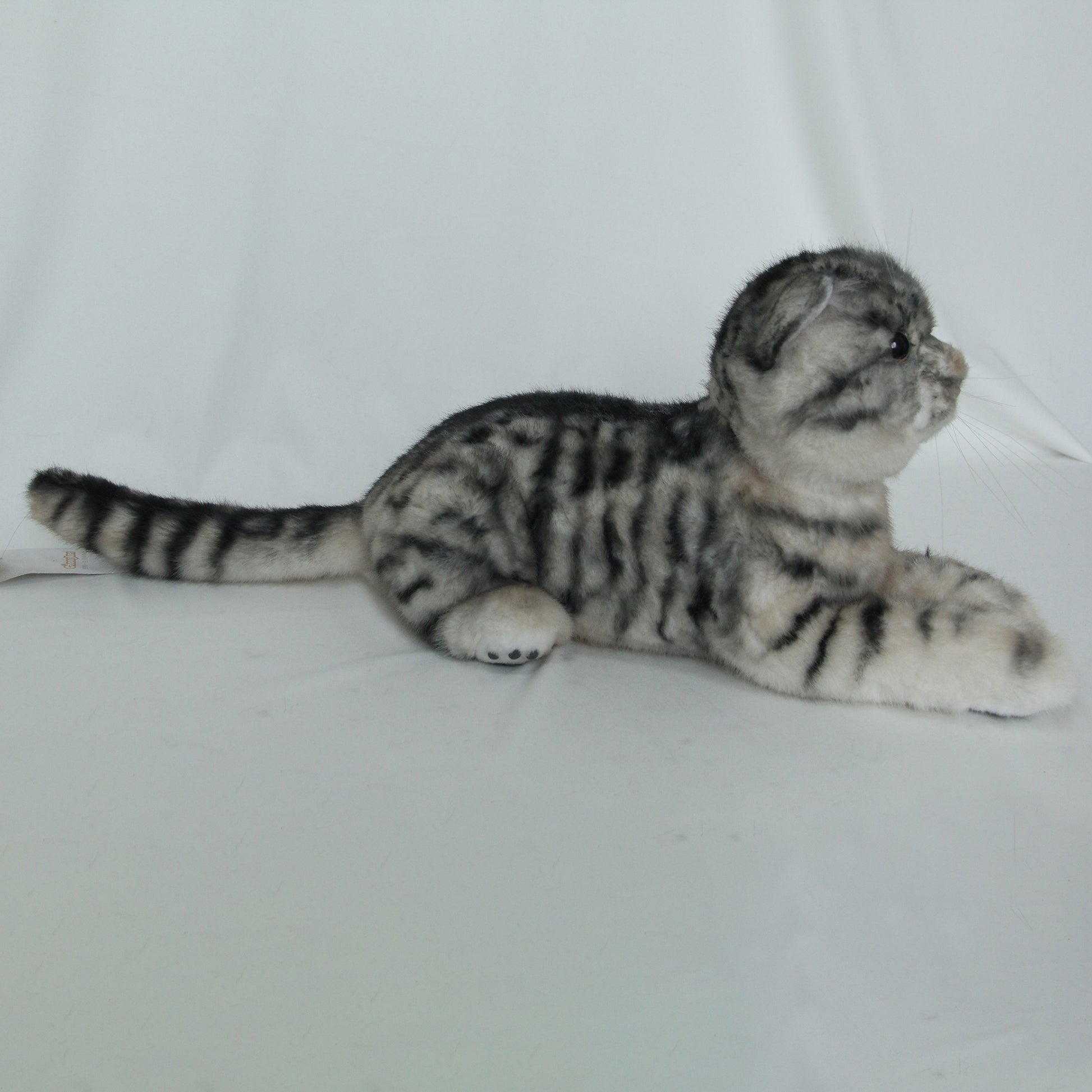 NO.24 Black Striped Cat - Chongker
