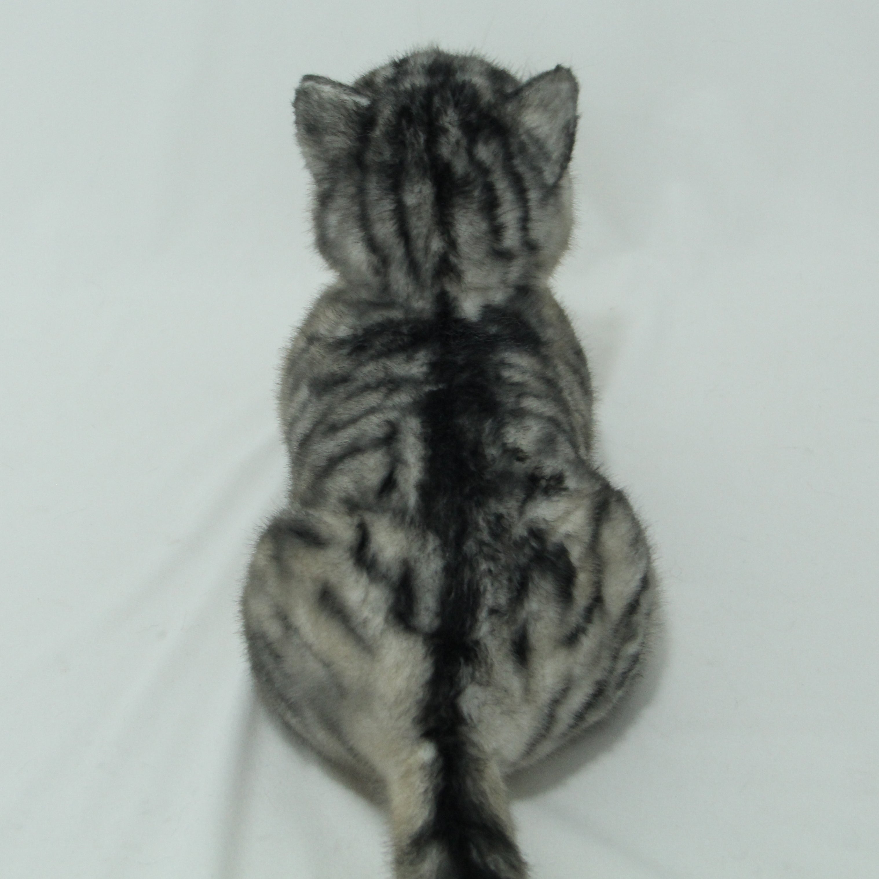 NO.24 Black Striped Cat - Chongker