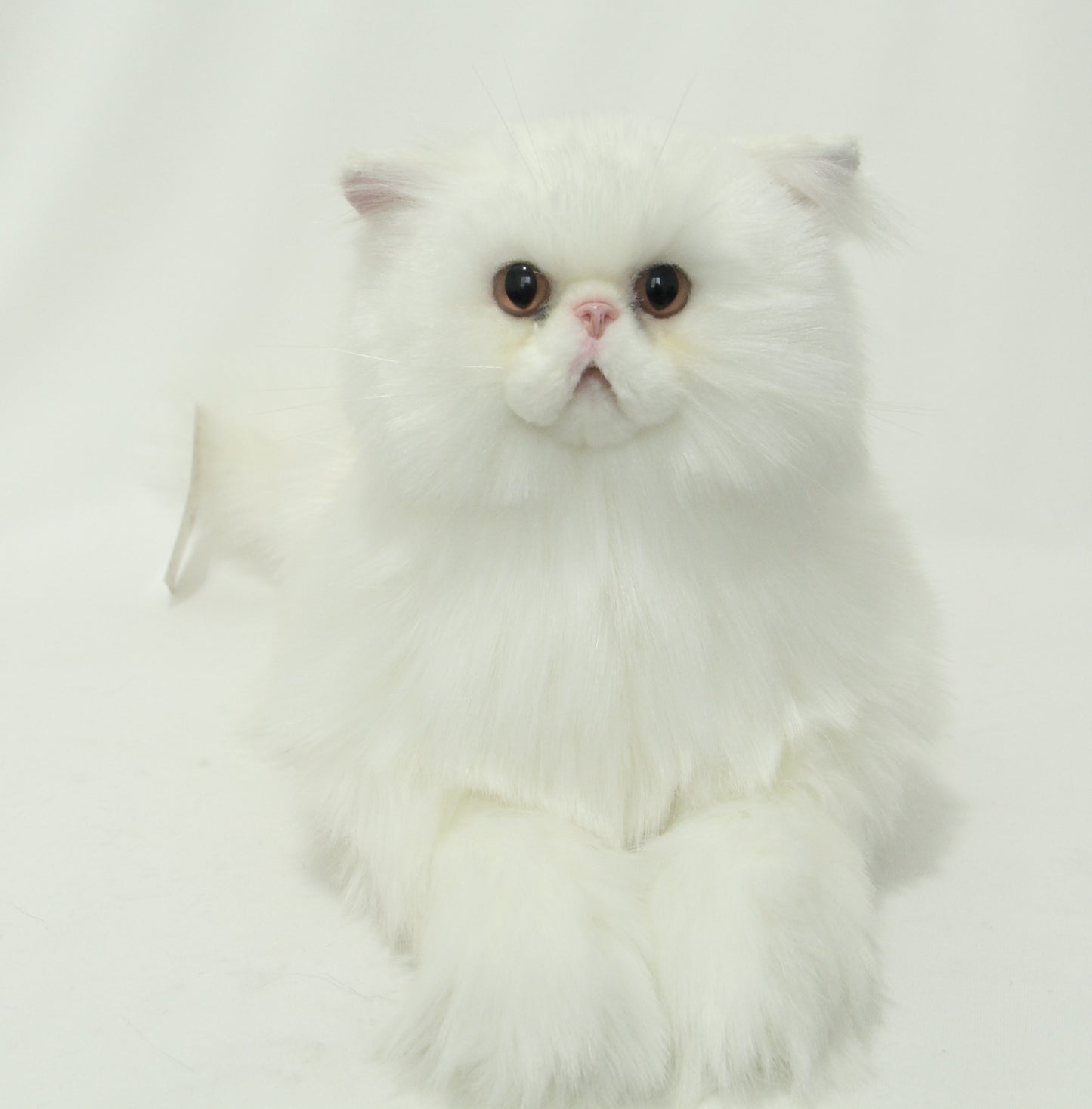 NO.23 White furry Cat