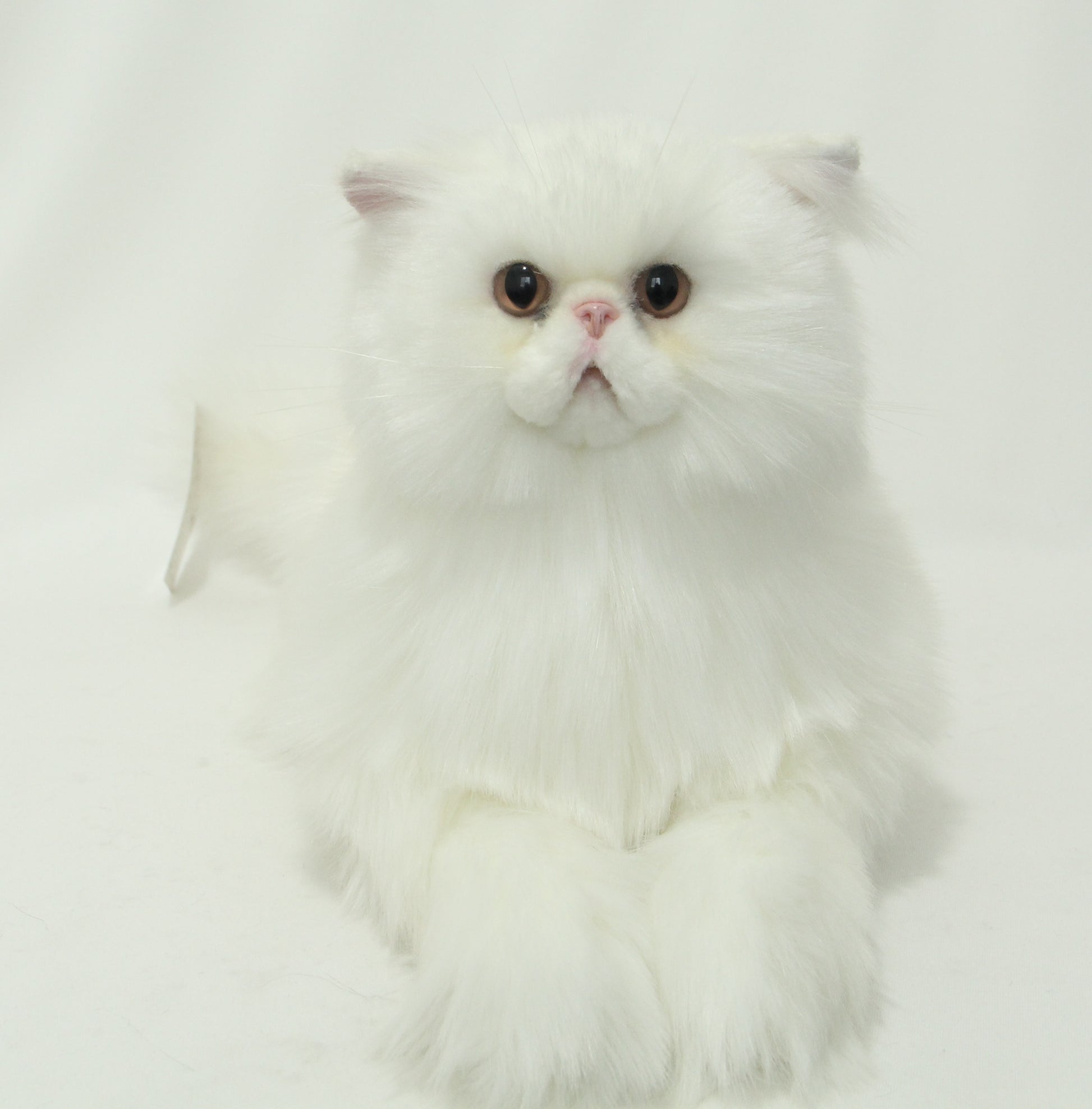 NO.23 White furry Cat - Chongker