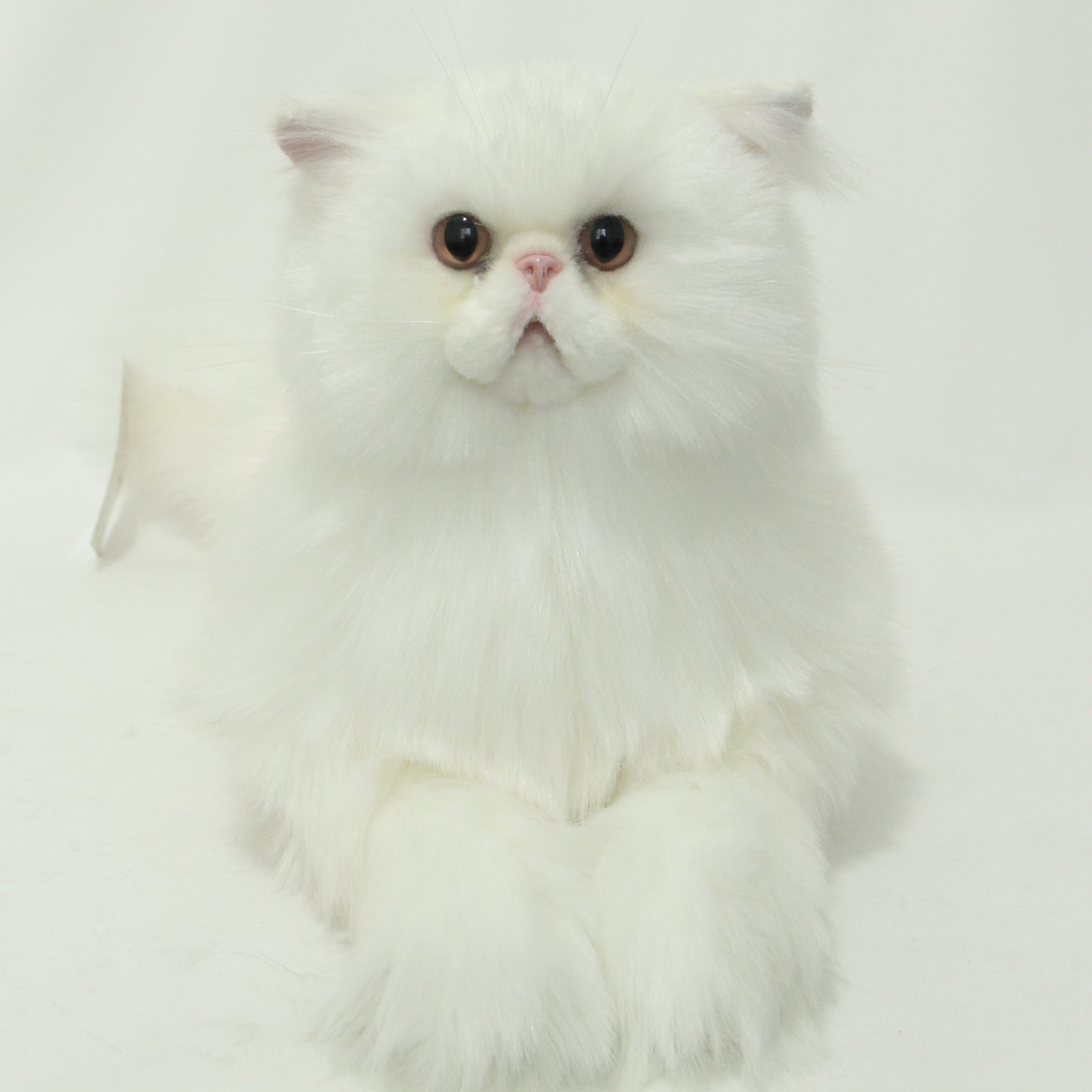 NO.23 White furry Cat