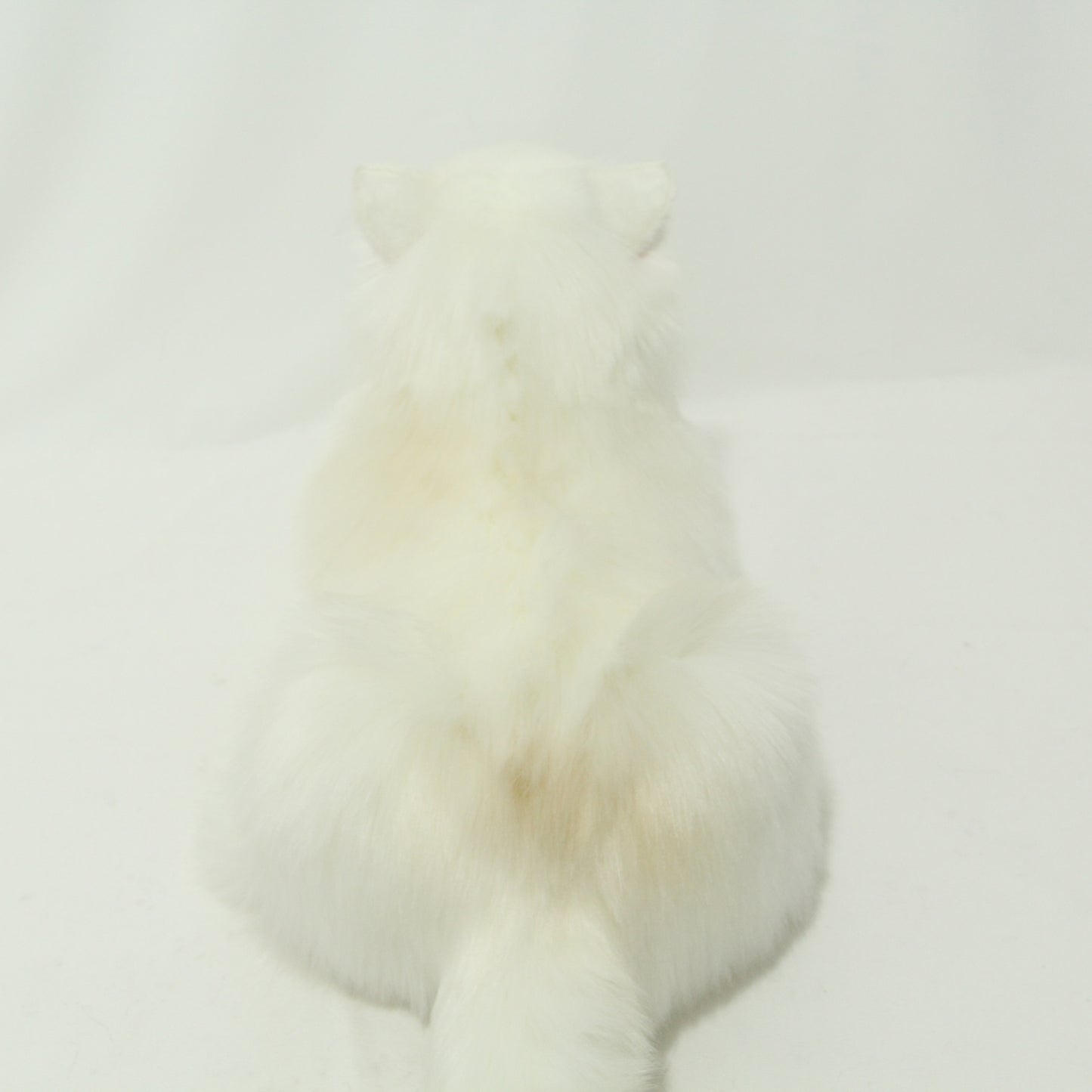 NO.23 White furry Cat