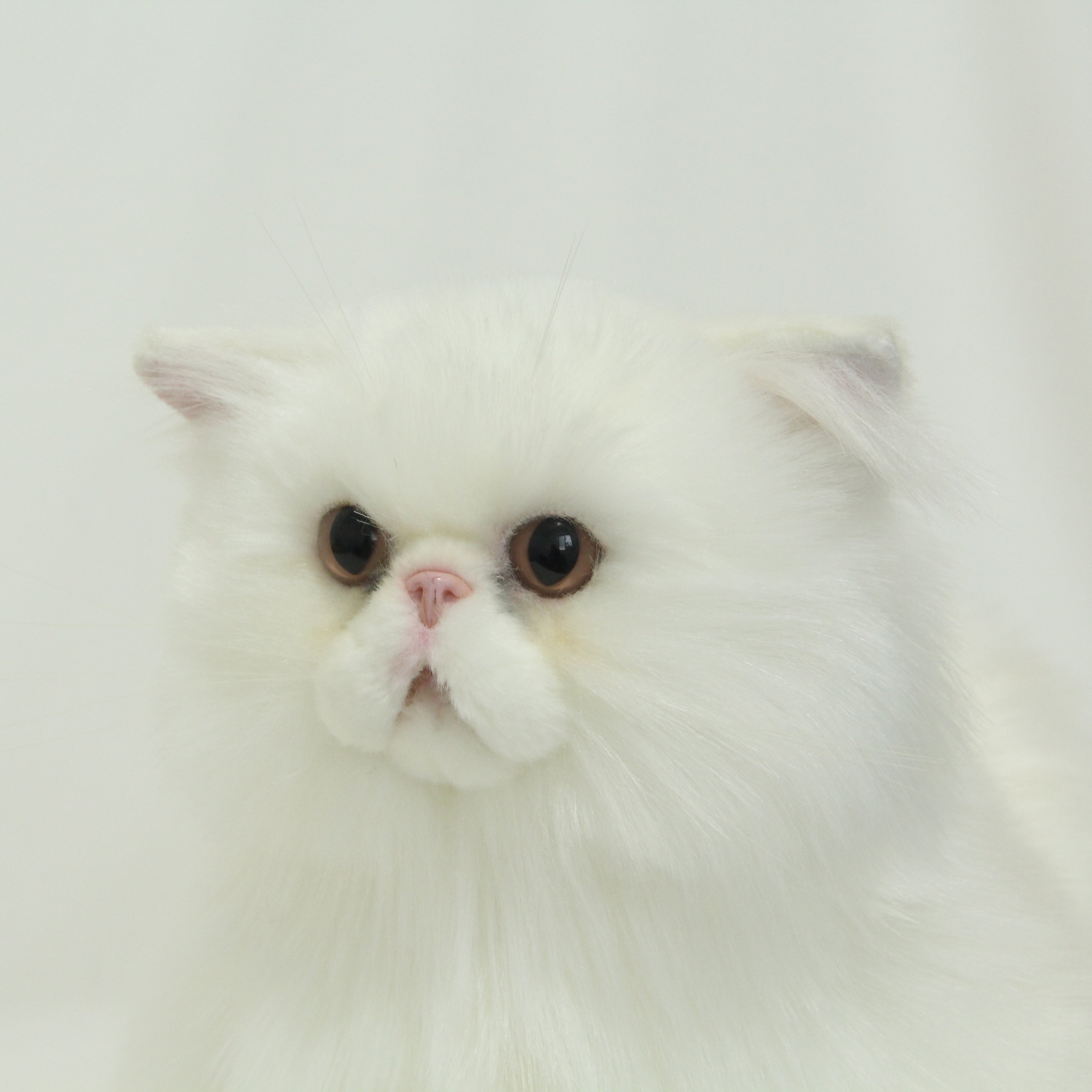 NO.23 White furry Cat - Chongker