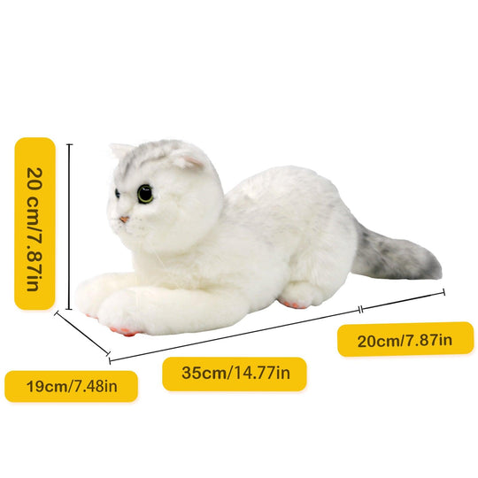 British Short-Hair Cat