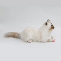 NO.9 Brown Hair Cat with Blue Eyes - Chongker