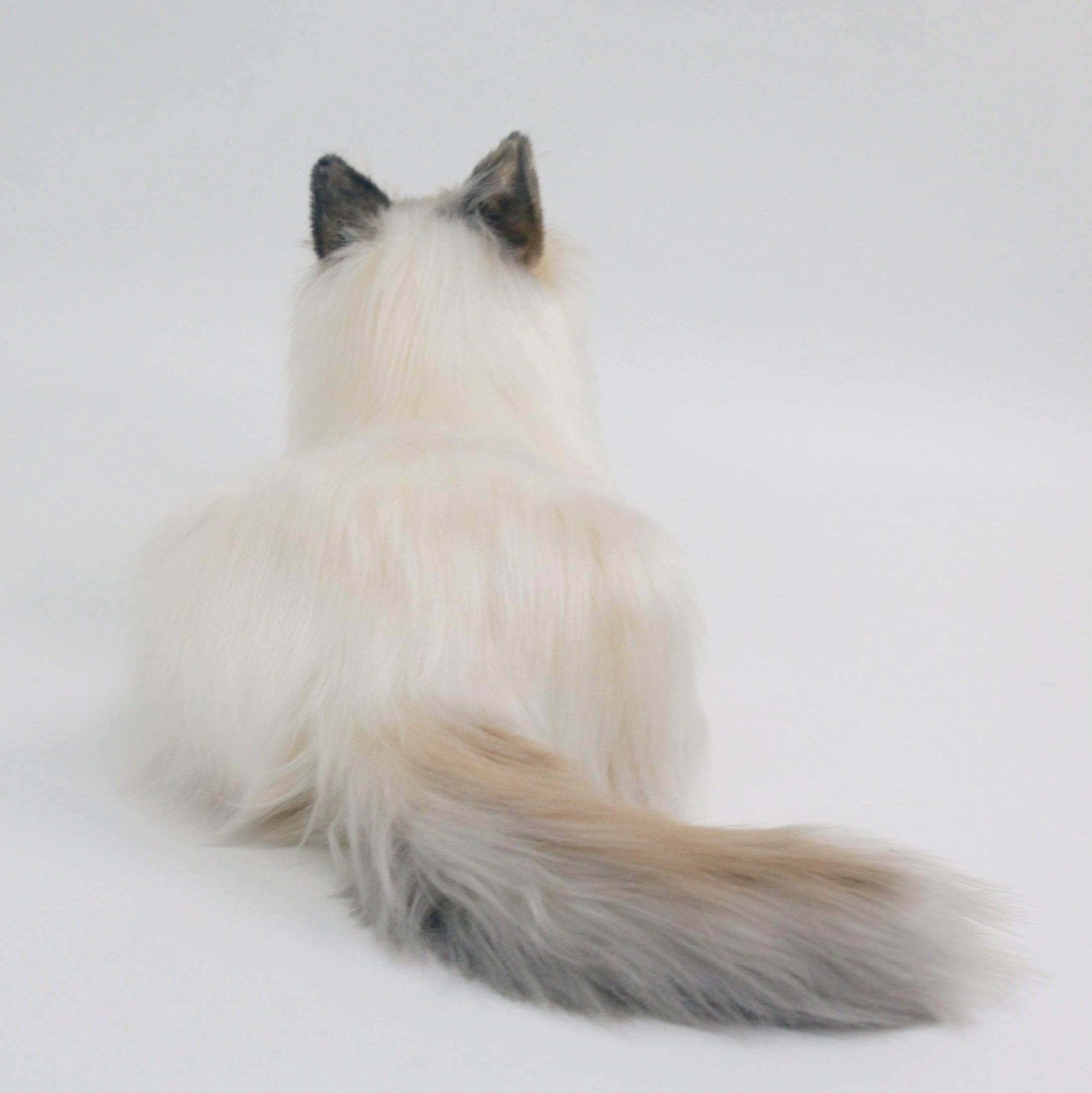 NO.9 Brown Hair Cat with Blue Eyes - Chongker