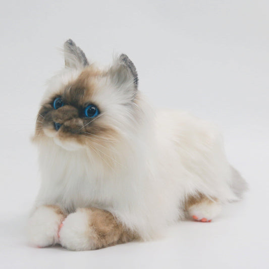 NO.9 Brown Hair Cat with Blue Eyes - Chongker