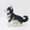 Load image into Gallery viewer, Siberian Husky - Chongker
