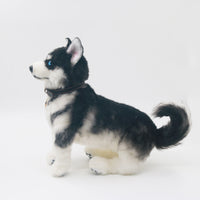 Siberian Husky - Chongker