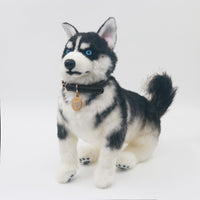 Siberian Husky - Chongker