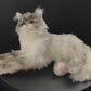 Tracy Weighted 3lbs –Relaxing Cat Toy Comfort Calming Plush