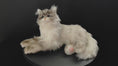 Load and play video in Gallery viewer, Tracy Weighted 3lbs –Relaxing Cat Toy Comfort Calming Plush
