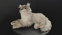 Tracy Weighted 3lbs –Relaxing Cat Toy Comfort Calming Plush