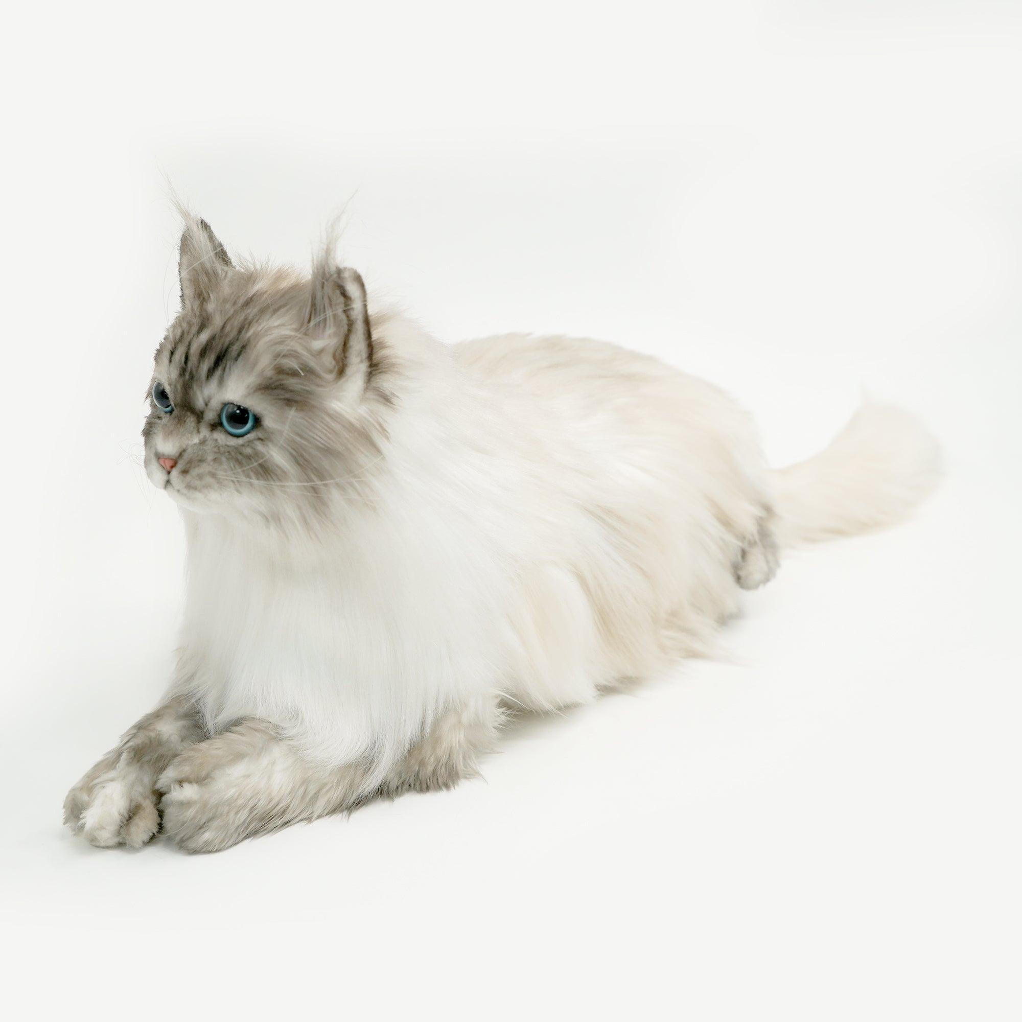 NO.8 Grey Hair Cat with Blue Eyes - Chongker