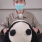 Panda Hehua (Serie de colección) 