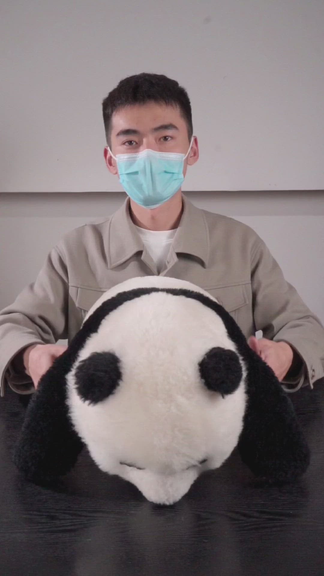 Lifelike Stuffed Animals Panda,Plush Panda Doll.Panda Fans Can't Miss It!