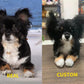 Custom Pet Plush - Chongker