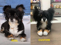 Custom Pet Plush - Chongker