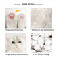British Short-Hair Cat - Chongker