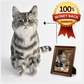 Chongker custom pet plush, personalized custom stuffed animal for pet lovers.